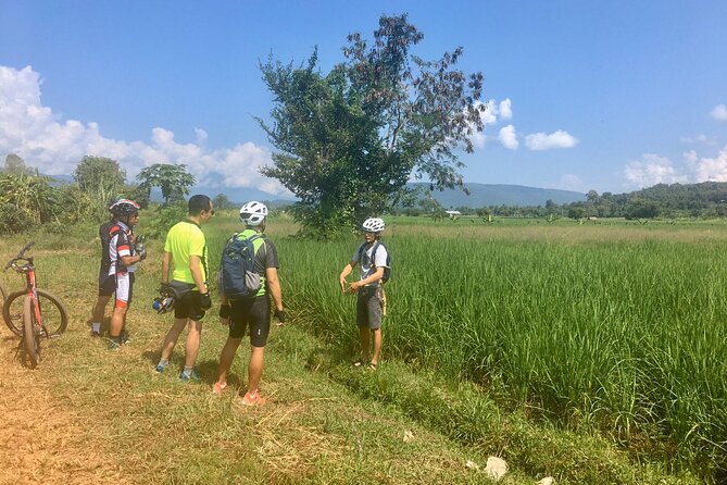 Full-Day Hike and Bike Tour from Chiang Mai - The Mae Sa hike: paddies, villages, and forest
