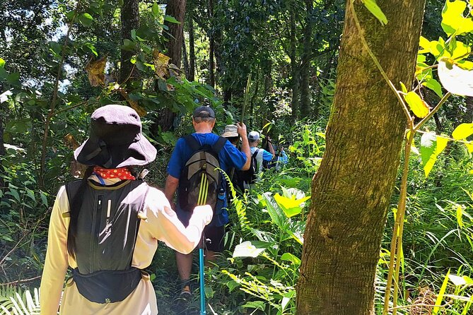 Full-Day Hike and Bike Tour from Chiang Mai - Finishing at an orchid farm