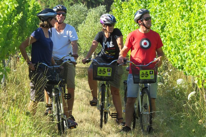 Full-Day Marlborough Wine Region Bike Hire - Why a bicycle works so well in Marlborough