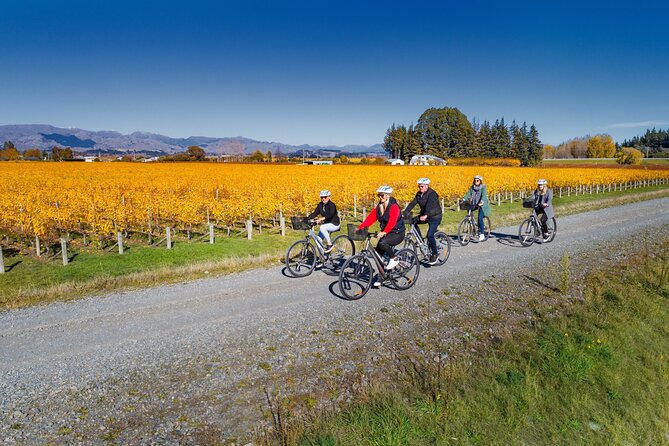 Full-Day Marlborough Wine Region Bike Hire - Comfort, safety, and the backup plan