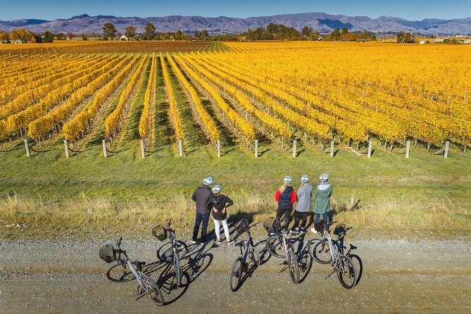 Full-Day Marlborough Wine Region Bike Hire - Who will enjoy this most?