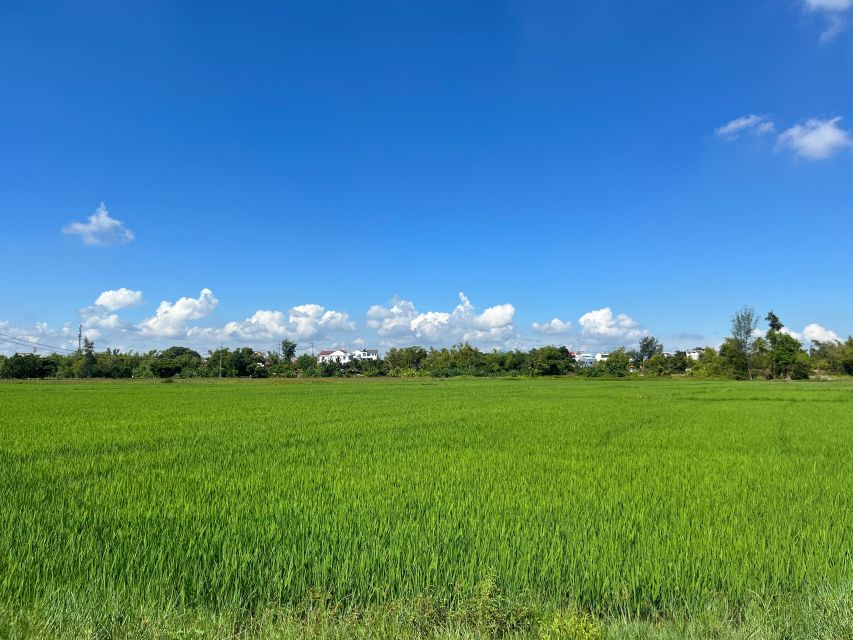Funny day cycling, Buffalo riding and Basket boat - Why this Hoi An tour works so well