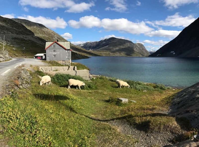 Geiranger Fjord: Downhill Self-Guided Bike Tour - A Self-Guided Ride Requires More Than Pedaling