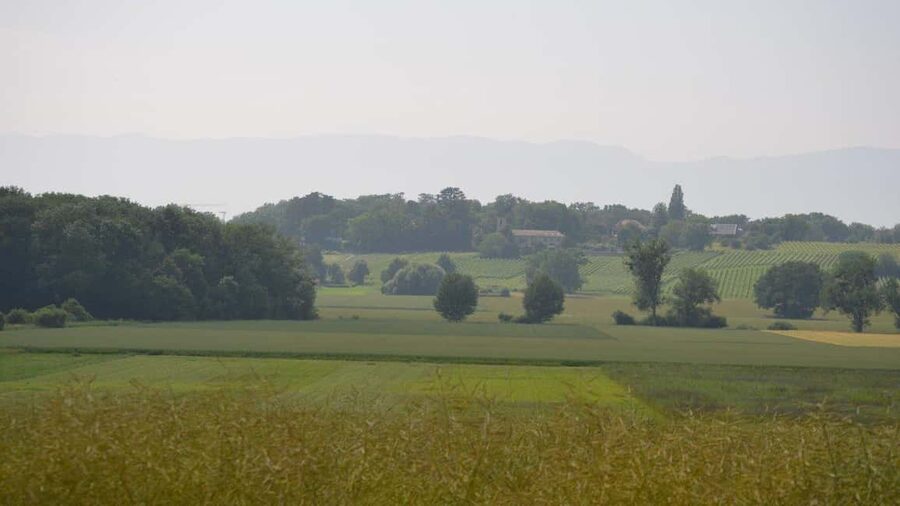 Geneva Countryside And Art Museum At A Castle Wine By E-Bike - Languages, guides, and the small-group feel