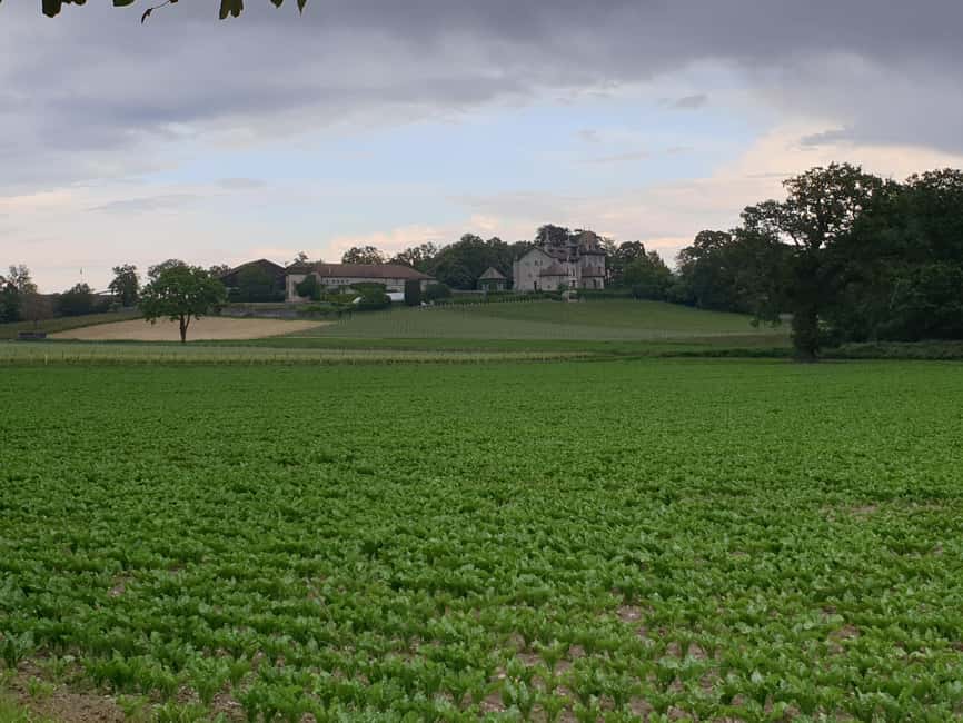 Geneva Countryside And Art Museum At A Castle Wine By E-Bike - Is $140 a fair price?
