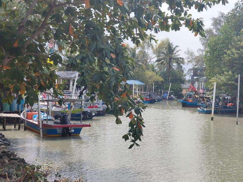George Town: Balik Pulau Countryside Morning Cycling Tour - Bicycle comfort and road conditions
