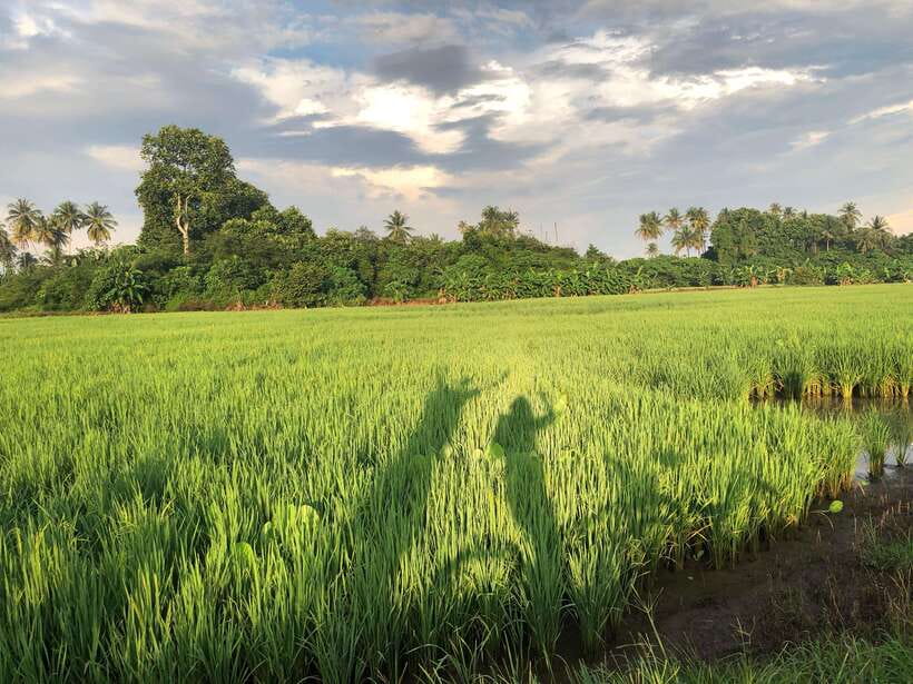 George Town: Balik Pulau Countryside Morning Cycling Tour - Why Balik Pulau makes a better cycling setting