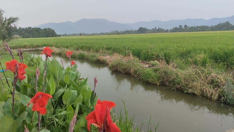 George Town: Balik Pulau Countryside Morning Cycling Tour - A light snack before the bicycles roll