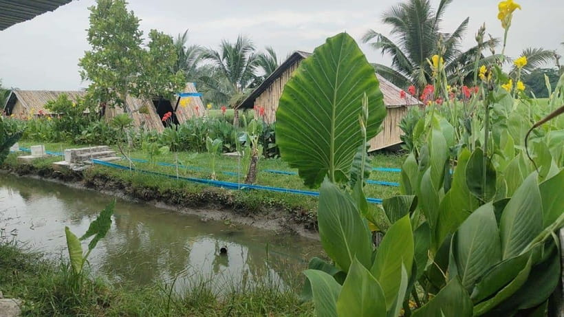 George Town: Balik Pulau Countryside Morning Cycling Tour - The 40-foot container artwork and photo stops