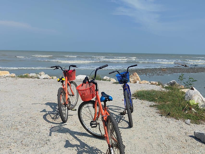 George Town: Balik Pulau Countryside Morning Cycling Tour - The café break and morning drink