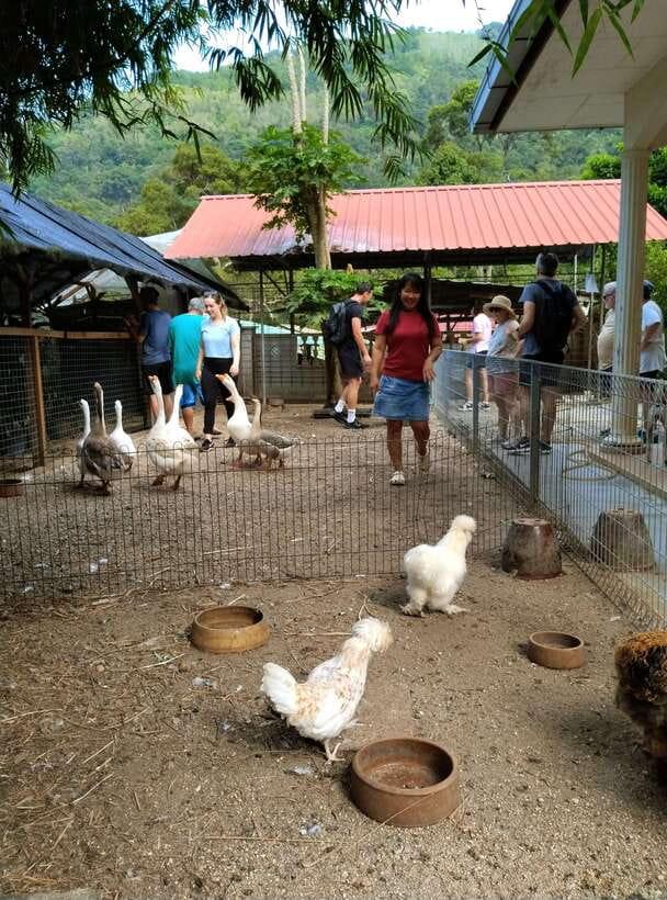 George Town, Penang: Malay Countryside Cycling - Choosing a bike and getting the basics right