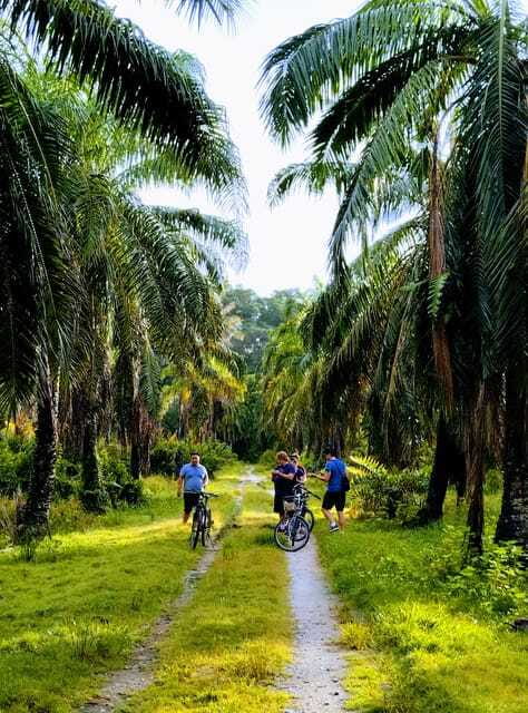 George Town, Penang: Malay Countryside Cycling - The family farm and animal stop