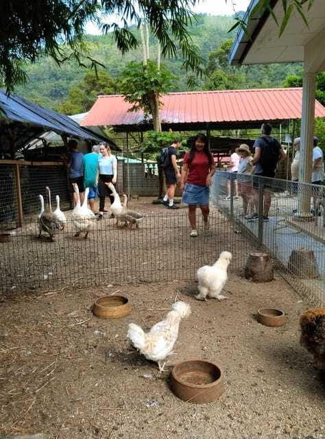 George Town, Penang: Malay Countryside Cycling - How difficult is the cycling?
