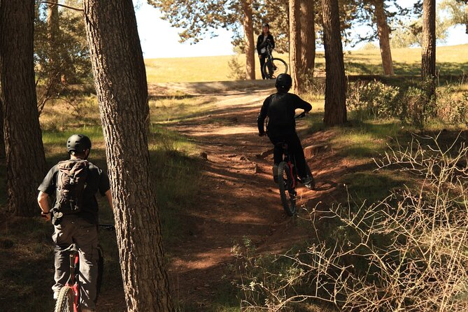 Granada: Nature, Wildlife and Authentic Villages E-bike Tour - Five things to know before you book