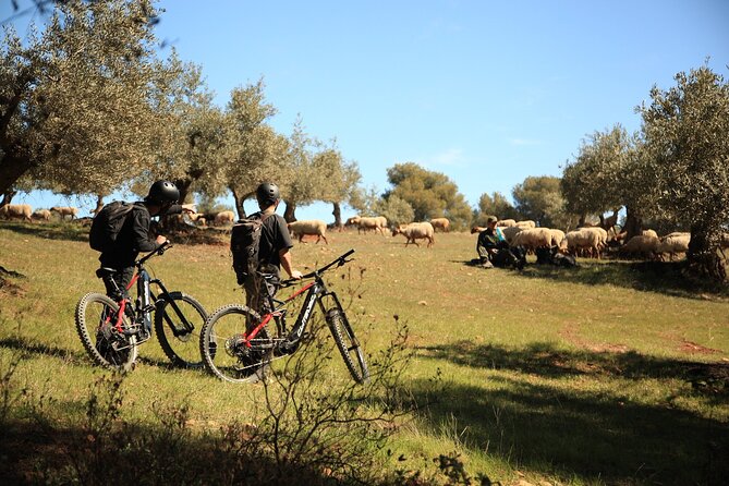 Granada: Nature, Wildlife and Authentic Villages E-bike Tour - Starting near Plaza de Cuchilleros