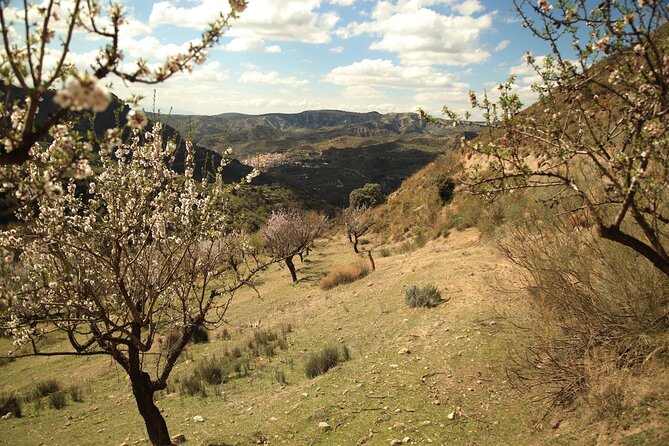 Granada: Nature, Wildlife and Authentic Villages E-bike Tour - Reservoirs, rivers, wildlife, and village life