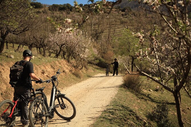 Granada: Nature, Wildlife and Authentic Villages E-bike Tour - Is $93 good value?