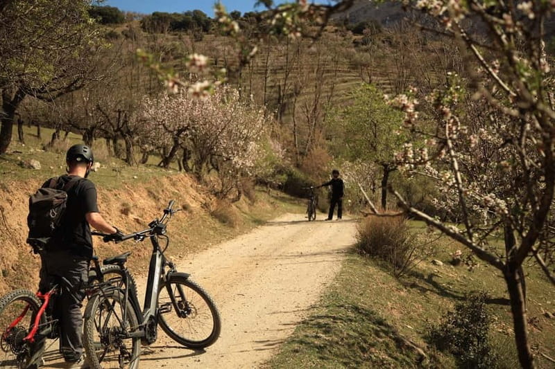 Granada: Nature, Wildlife and Authentic Villages E-bike Tour - Who should book this Granada e-bike tour?