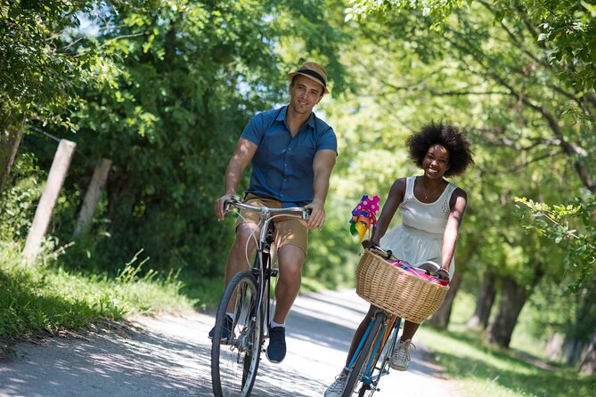 GRAND CITY Private Guided Tour on Bike, E-Bike, E-Step or Segway - A quick look at the Palace of the Marqués de Dos Aguas