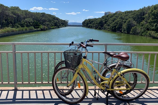 GRAND CITY Private Guided Tour on Bike, E-Bike, E-Step or Segway - Forty minutes through the Turia Gardens