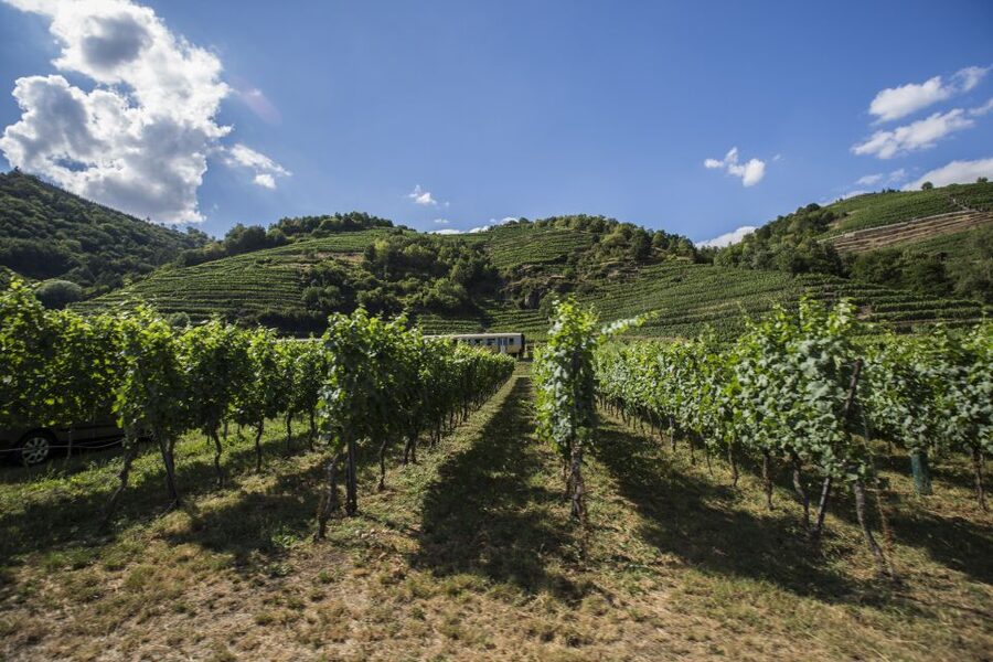 Grape Grazing: Wachau Valley Winery Biking Tour - Key points to know before you book