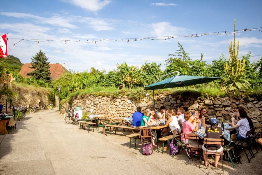 Grape Grazing: Wachau Valley Winery Biking Tour - The first winery visit keeps the tasting local