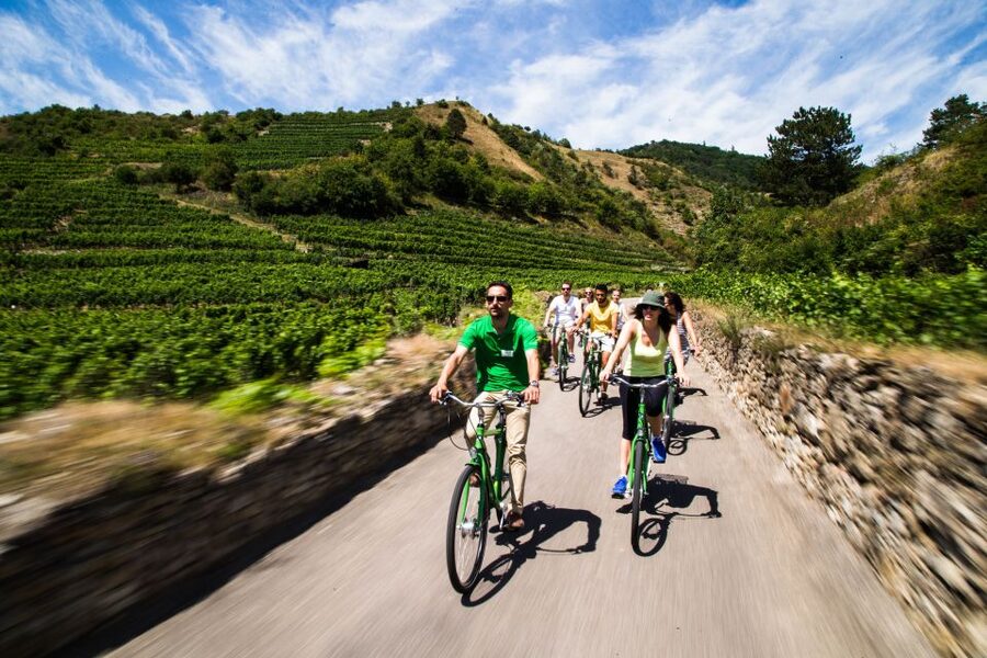 Grape Grazing: Wachau Valley Winery Biking Tour - The train from Vienna to Krems starts the day calmly