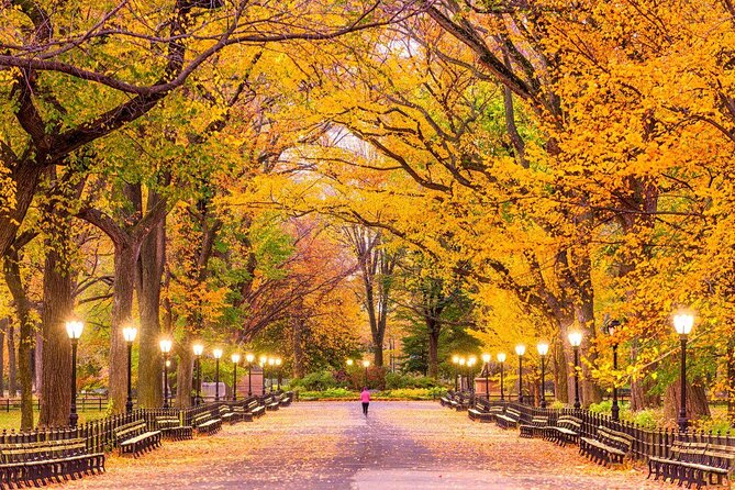 Guided Bike Tour of Central Park New York City - Key points at a glance