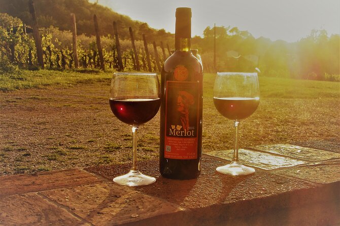 Guided E-Bike Tour with Wine Tasting from Lucca - Pedaling Lucca’s city walls