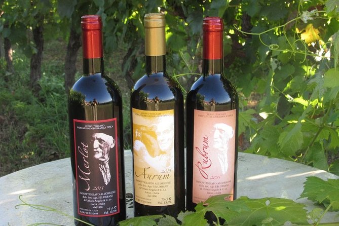 Guided E-Bike Tour with Wine Tasting from Lucca - Tuscan food with the wine