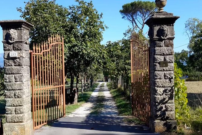 Guided E-Bike Tour with Wine Tasting from Lucca - Meeting at Piazzale B. Ricasoli at 10:00