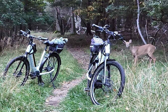 Guided Ebike Tour of Acadia National Park Carriage Roads - Witch Hole Pond and Duck Brook Bridge