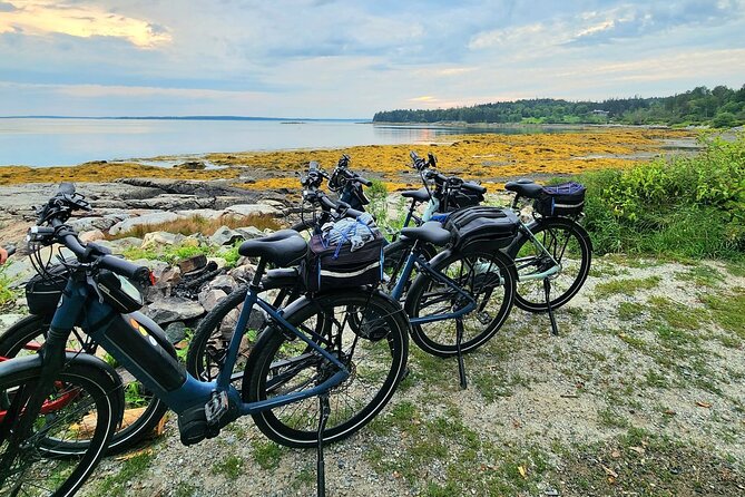 Guided Ebike Tour of Acadia National Park Carriage Roads - What the $190 price really buys you