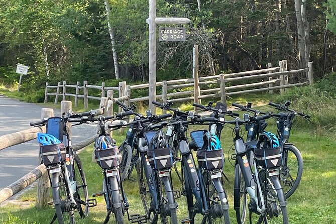 Guided Ebike Tour of Acadia National Park Carriage Roads - Eagle Lake and the beaver pond