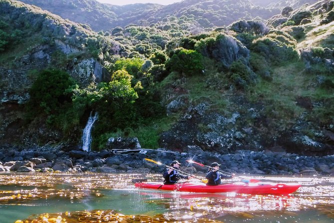 Guided Electric Mountain Bike & Sea Kayak Tour in Akaroa - Why combine biking and kayaking in Akaroa?