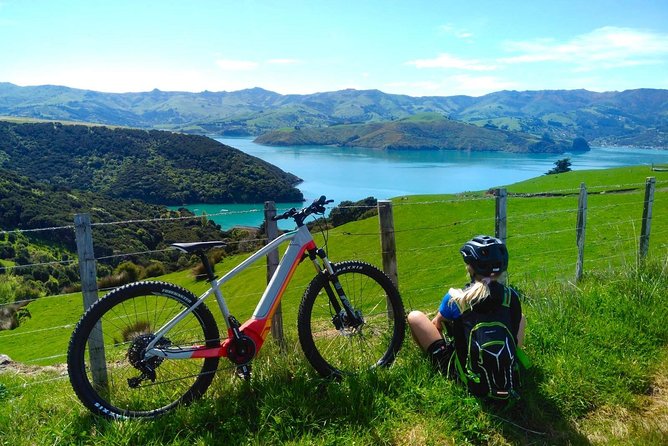 Guided Electric Mountain Bike & Sea Kayak Tour in Akaroa - A small group with useful extras