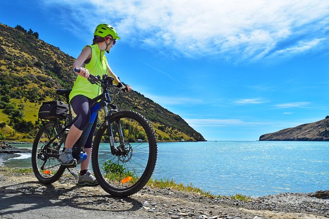 Guided Electric Mountain Bike & Sea Kayak Tour in Akaroa - Is $192.38 good value?