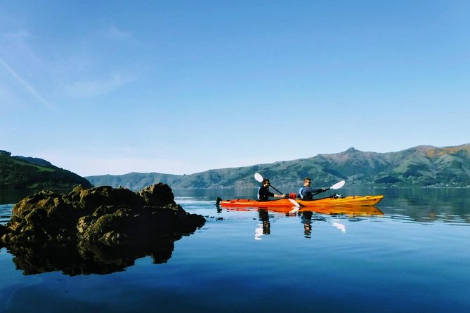 Guided Electric Mountain Bike & Sea Kayak Tour in Akaroa - Who should book this experience?