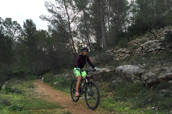Guided mountain bike route - "Pata Negra" Tour - The millennial olive tree and the terrace break