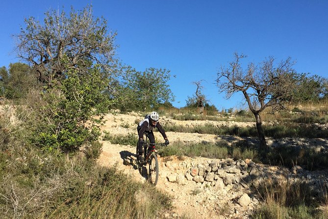 Guided mountain bike route - "Pata Negra" Tour - What the $90.70 price really buys