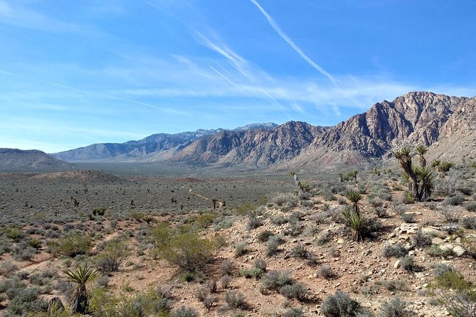 Guided Mountain Bike Tour of Mustang Trail in Red Rock Canyon - Who will enjoy it, and who should think twice