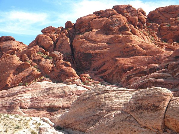Guided Mountain Bike Tour of Mustang Trail in Red Rock Canyon - Booking details and cancellation terms