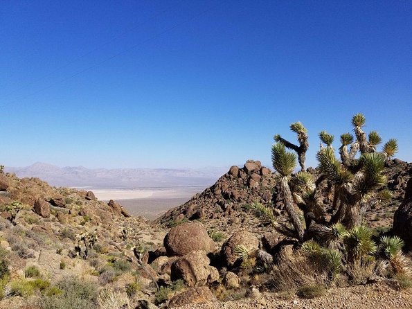 Guided or Self-Guided Road Bike Tour of Red Rock Canyon - The guided ride: support on the paved loop