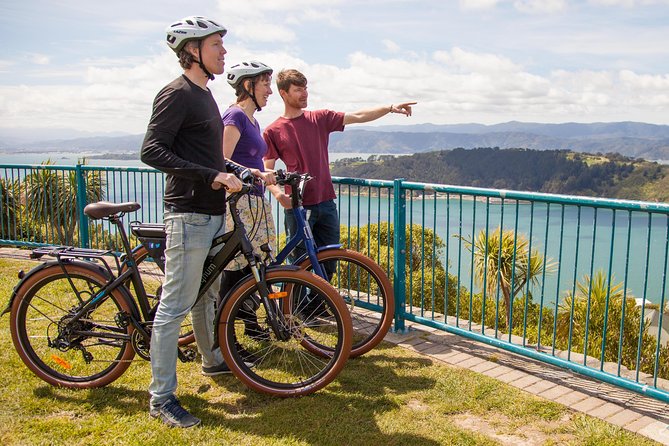 Guided Wellington Tour by Electric Bike - Key points to know before you book