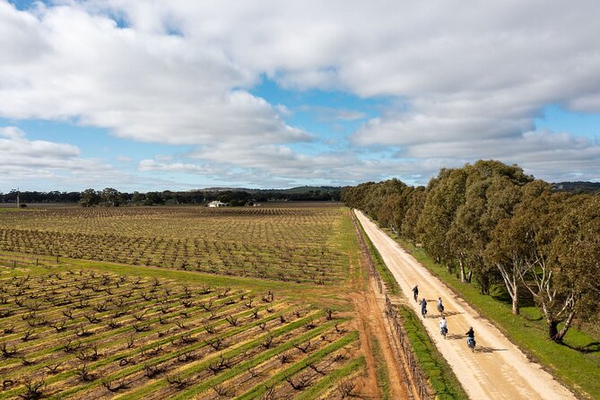 Hahndorf food and wine E-Bike Tour - Starting at The Lane Vineyard at 9:00 am
