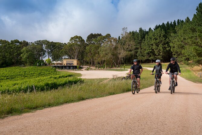 Hahndorf food and wine E-Bike Tour - A five-wine flight at Shaw and Smith