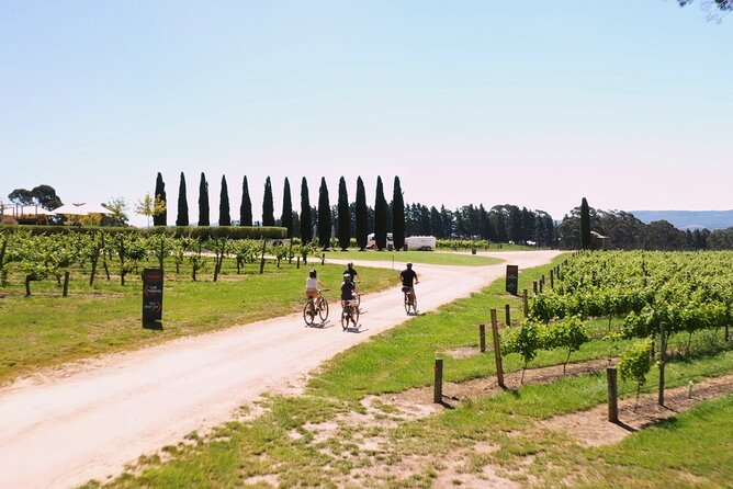 Hahndorf food and wine E-Bike Tour - Is $182.90 good value?