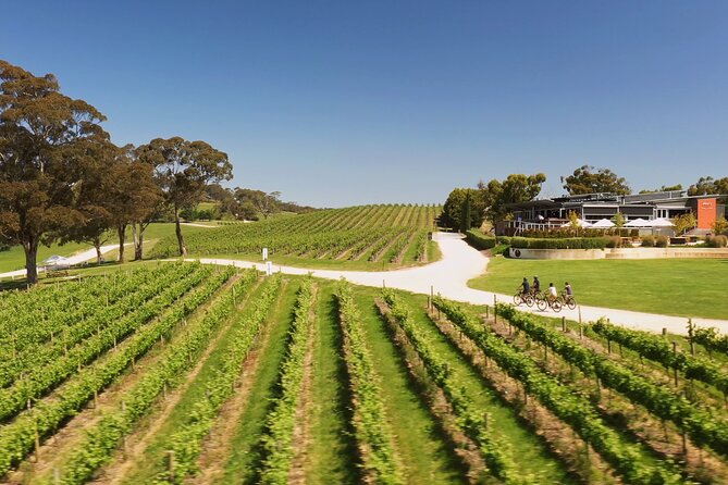 Hahndorf food and wine E-Bike Tour - Who will enjoy this tour most?
