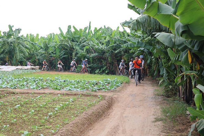 Half-Day Bicycle Tour Combine City & Countryside + Train Street - Getting started in Hanoi’s Old Quarter