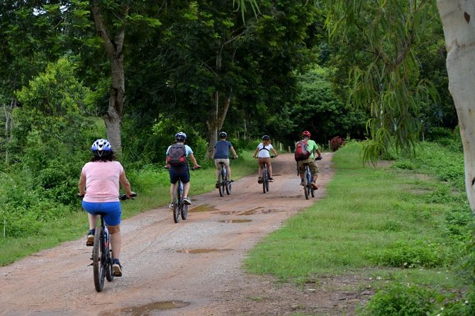 Half Day Cycling Tour to the White temple - Riding through rice fields and small villages